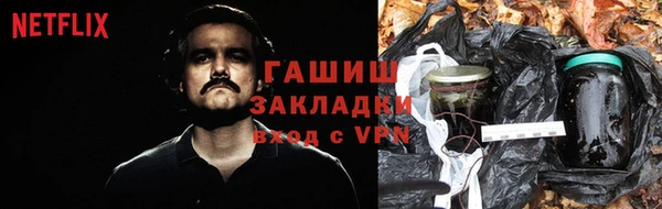 шишки Алексин