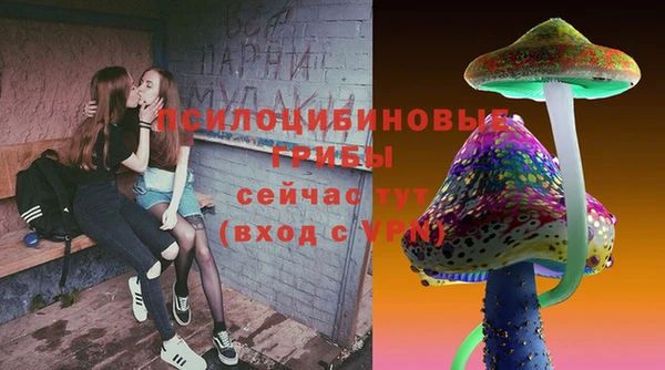 шишки Алексин