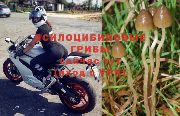 дурь Абинск