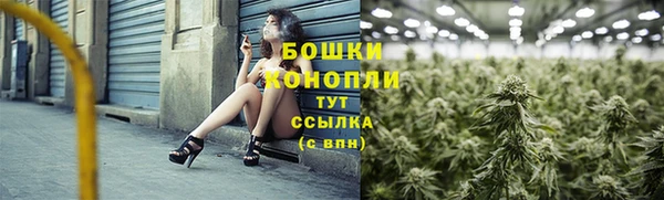 шишки Алексин